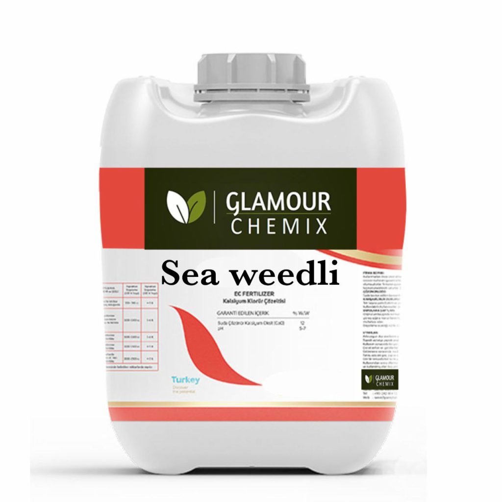 sea weedli